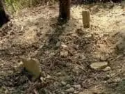 Dikira Makam, Tanah Gundukan Dibongkar Polisi Ternyata Gundukan Tanah Biasa