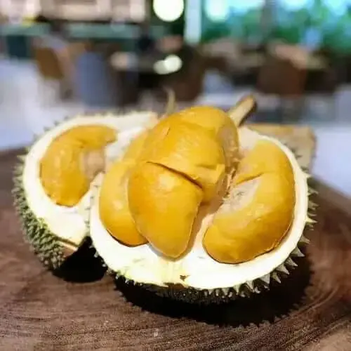 Rimba Durian Cafe Jakarta Berikan Diskon Untuk Karyawan dan Pelajar