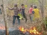 Diduga Pencari Rumput Buang Puntung Rokok Sembarang, Akibatkan Bukit di Alian Kebakaran