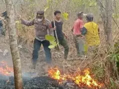 Diduga Pencari Rumput Buang Puntung Rokok Sembarang, Akibatkan Bukit di Alian Kebakaran Diduga Pencari Rumput Buang Puntung Rokok Sembarang, Akibatkan Bukit di Alian Kebakaran