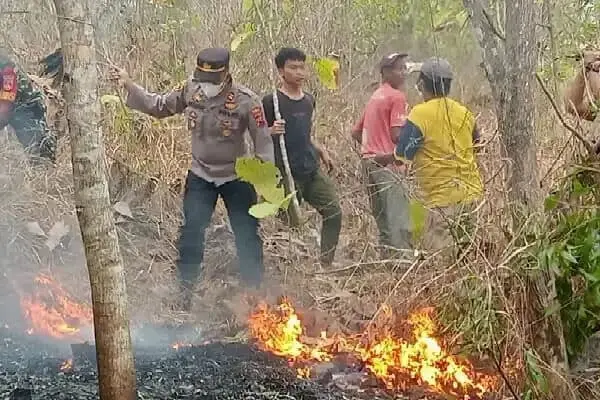 Diduga Pencari Rumput Buang Puntung Rokok Sembarang, Akibatkan Bukit di Alian Kebakaran