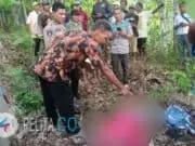 Satu Desa di Tempat Berbeda, Dua Orang Meninggal Akibat Jatuh dari Pohon Mahoni Saat Cari Pakan Ternak Satu Desa di Tempat Berbeda, Dua Orang Meninggal Akibat Jatuh dari Pohon Mahoni Saat Cari Pakan Ternak