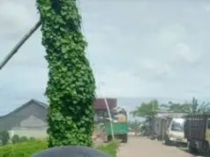 Warga Kampung Bendungan, Keluhkan Bau Tak Sedap Dari Tempat Pengelolaan Limbah Warga Kampung Bendungan, Keluhkan Bau Tak Sedap Dari Tempat Pengelolaan Limbah