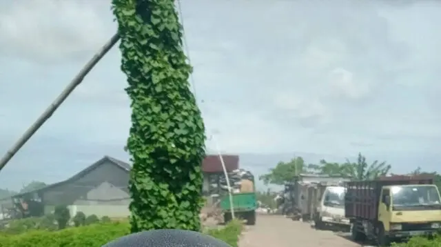 Warga Kampung Bendungan, Keluhkan Bau Tak Sedap Dari Tempat Pengelolaan Limbah Warga Kampung Bendungan, Keluhkan Bau Tak Sedap Dari Tempat Pengelolaan Limbah