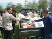 Operasi Pekat 2024, Polres Purworejo Musnahkan 18,5 Kg Obat Mercon dan Ribuan Petasan di Pantai Ketawang