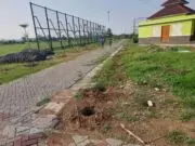 Proyek Penataan Halaman Musholla Stadion Mini Sepatan Timur, Dapat Sorotan Warga Proyek Penataan Halaman Musholla Stadion Mini Sepatan Timur, Dapat Sorotan Warga