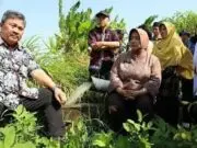 Kunker ke Purworejo, Plt Sekjen Kementan Ingatkan Isu Darurat Pangan Itu Nyata