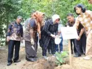 Usai Ikuti Tarian Dolalak Diacara Smandafest 2024, Bupati Tanam Pohon Manggis