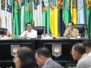 Mendagri Dorong Pemda Tingkatkan Produksi Beras Mendagri Dorong Pemda Tingkatkan Produksi Beras
