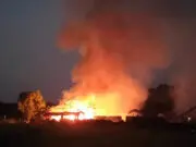 Kebakaran Lagi, Puluhan Ribu Ekor Ayam Terpanggang di Madiun
