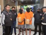 Harga Jual Rp 5 Juta per Kilogram, Polres Jakarta Utara Gagalkan Peredaran Ganja Seberat 77 Kg