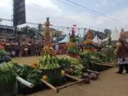 Acara Merti Desa Trirejo, 6 Gunungan Jadi Rebutan Warga Acara Merti Desa Trirejo, 6 Gunungan Jadi Rebutan Warga