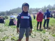 Gavta Pelayang Cilik Asal Yogyakarta Curi Perhatian Masyarakat di Festival Layang-Layang