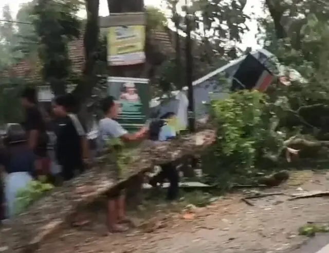 Bus Mira Tabrak Pohon Masuk Parit di Ngawi, Kernet Tewas Puluhan Penumpang Terluka