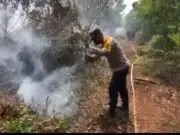 Komandan Kodim 0419/Tanjab Apresiasi Kerja Cepat Tim Atasi Kebakaran Lahan di Teluk Dawan