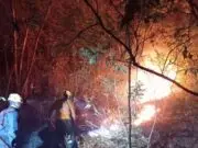 Gunung Bancak Terbakar, Damkar Tak Sanggup Tembus Sasaran