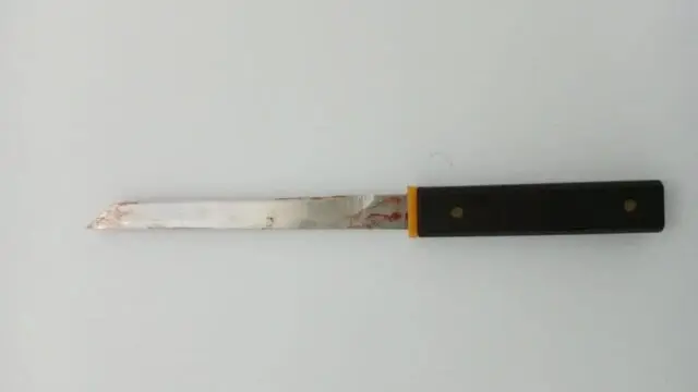 IMG-20241003-WA0006