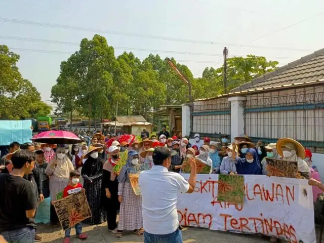 IMG-20241027-WA0012