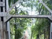 Pemanen Sawit di Asahan Tewas Terjatuh dari Jembatan Gantung Tua