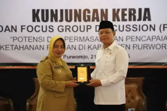 IMG-20250122-WA0003
