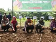 Dukung Program Asta Cita Presiden RI, Polres Purworejo Tanam Benih Jagung Sebanyak 15 kg