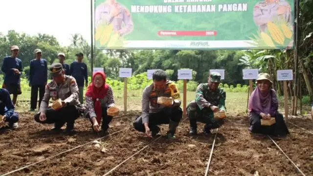 Dukung Program Asta Cita Presiden RI, Polres Purworejo Tanam Benih Jagung Sebanyak 15 kg