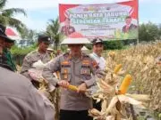 Polres Purworejo Panen Raya Jagung Seretak