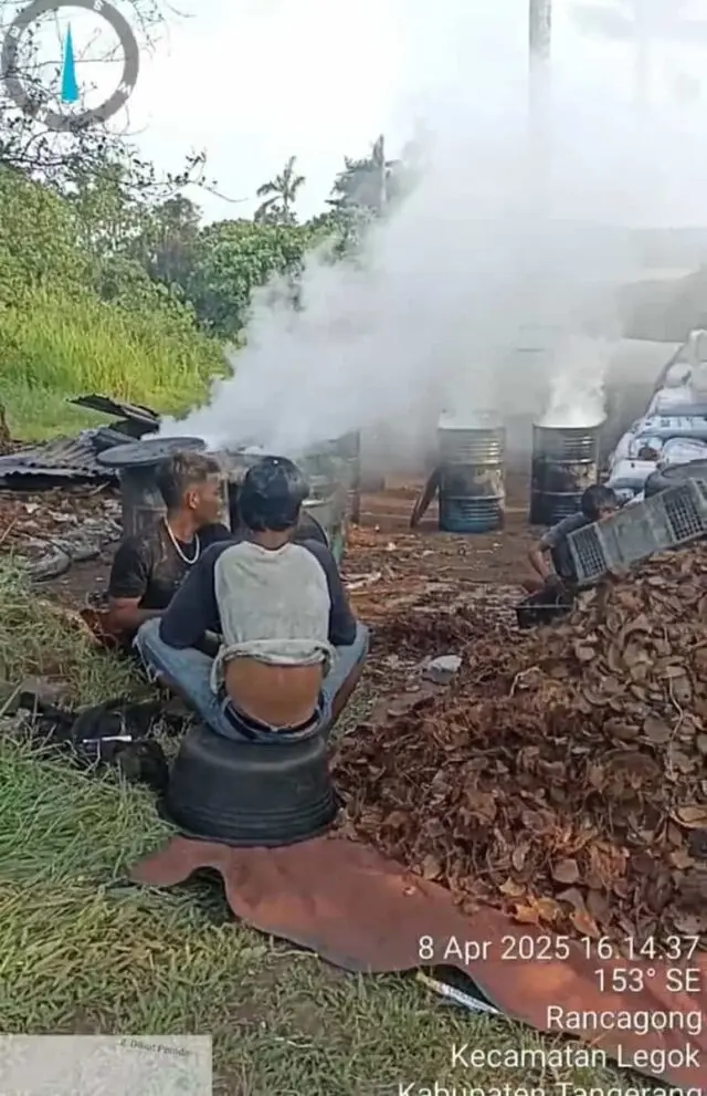 Diduga Ilegal, Pembakaran Areng Tempurung Kelapa Dikeluhkan Warga