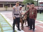 Sambut Idul Adha, Kapolres Purworejo Serahkan 20 Hewan Kurban ke Sejumlah Lembaga