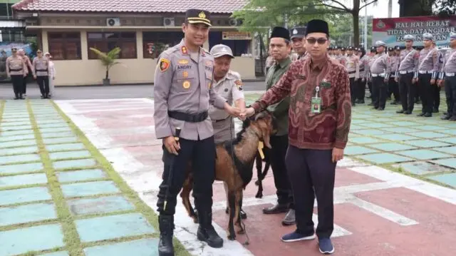 Sambut Idul Adha, Kapolres Purworejo Serahkan 20 Hewan Kurban ke Sejumlah Lembaga Sambut Idul Adha, Kapolres Purworejo Serahkan 20 Hewan Kurban ke Sejumlah Lembaga