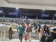 Liburan ke Jakarta Naik Kereta? Hanya Rp 175 Ribu dengan KA Sawunggalih dari Kutoarjo Liburan ke Jakarta Naik Kereta? Hanya Rp 175 Ribu dengan KA Sawunggalih dari Kutoarjo
