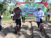 Kolaborasi TNI-Polri dan Petani, Tanam Jagung Serentak di Purworejo