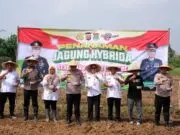 Sekcam Kresek Dampingi Kapolresta Tangerang Tanam Jagung Serentak