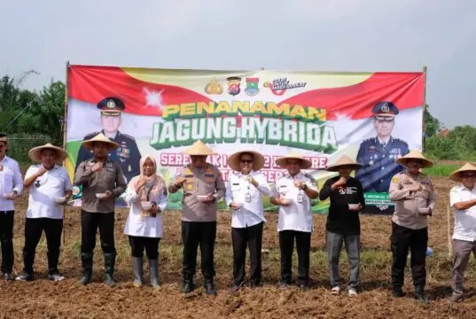 Sekcam Kresek Dampingi Kapolresta Tangerang Tanam Jagung Serentak Sekcam Kresek Dampingi Kapolresta Tangerang Tanam Jagung Serentak