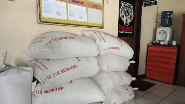 Pencurian Gabah Resahkan Warga Purworejo, Polisi Ringkus Tiga Pelaku Pencurian Gabah Resahkan Warga Purworejo, Polisi Ringkus Tiga Pelaku