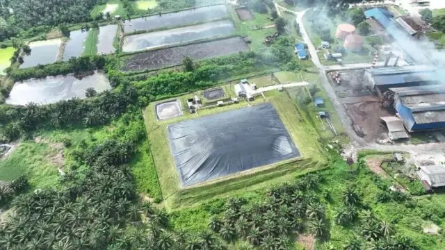 PTPN IV: Rp150 Ribu Bisa Beli Karbon Selamatkan Lingkungan PTPN IV: Rp150 Ribu Bisa Beli Karbon Selamatkan Lingkungan