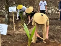 Dukung Program Kementerian Imigrasi Dan Pemasyarakatan, Rutan Kelas IIB Ruteng Manggarai NTT Tanam Bibit Kelapa Dukung Program Kementerian Imigrasi Dan Pemasyarakatan, Rutan Kelas IIB Ruteng Manggarai NTT Tanam Bibit Kelapa