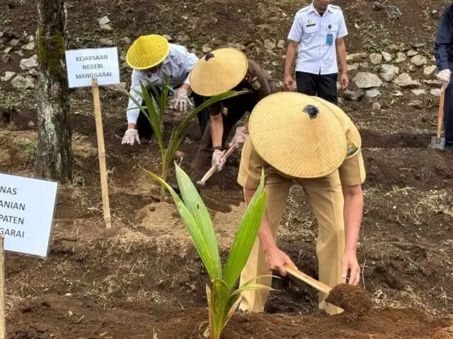 Dukung Program Kementerian Imigrasi Dan Pemasyarakatan, Rutan Kelas IIB Ruteng Manggarai NTT Tanam Bibit Kelapa Dukung Program Kementerian Imigrasi Dan Pemasyarakatan, Rutan Kelas IIB Ruteng Manggarai NTT Tanam Bibit Kelapa
