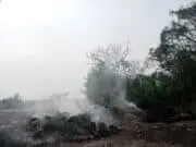 Pembakaran Sampah Ilegal Meresahkan Warga di Sukawali , Diduga Kiriman dari Luar Daerah 