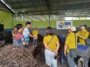 BRI Peduli Beri Pelatihan Diversifikasi dan Penguatan Mutu Produk Pupuk Kompos di Bali