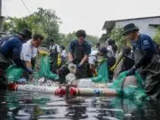 BRI Peduli Ajak Generasi Muda Jaga Ekosistem Sungai dan Peduli Lingkungan