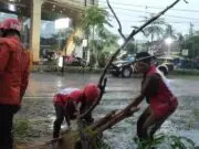 Pohon Akasia Tumbang Timpa Mobil di Sruweng, Arus Lalu Lintas Sempat Macet Pohon Akasia Tumbang Timpa Mobil di Sruweng, Arus Lalu Lintas Sempat Macet