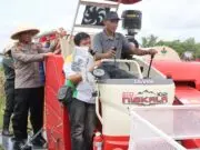 Polres Purworejo Panen Raya Jagung Kuartal III, Bukti Sinergi Jaga Ketahanan Pangan Daerah