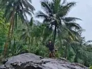 Hujan Deras Picu Longsor di Sawangan dan Pohon Tumbang di Girigondo Pituruh Hujan Deras Picu Longsor di Sawangan dan Pohon Tumbang di Girigondo Pituruh