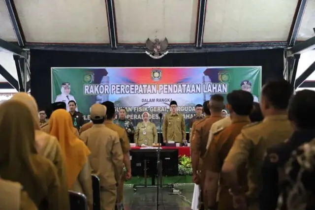 Bupati