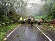 Terdera Hujan, Pohon Tumbang Kunci Jalur Arah Pendakian Cemoro Sewu Terdera Hujan, Pohon Tumbang Kunci Jalur Arah Pendakian Cemoro Sewu