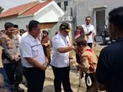 PIK 2 Peduli Pendidikan, Tagline Sekolah Terang, Tangerang Cerdas PIK 2 Peduli Pendidikan, Tagline Sekolah Terang, Tangerang Cerdas