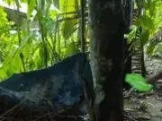 Warga Kaligesing Keluhkan Dugaan Salah Sasaran Bansos, ODGJ Terabaikan Warga Kaligesing Keluhkan Dugaan Salah Sasaran Bansos, ODGJ Terabaikan