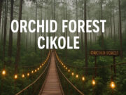 Orchid Forest Cikole