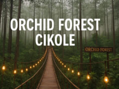 Orchid Forest Cikole